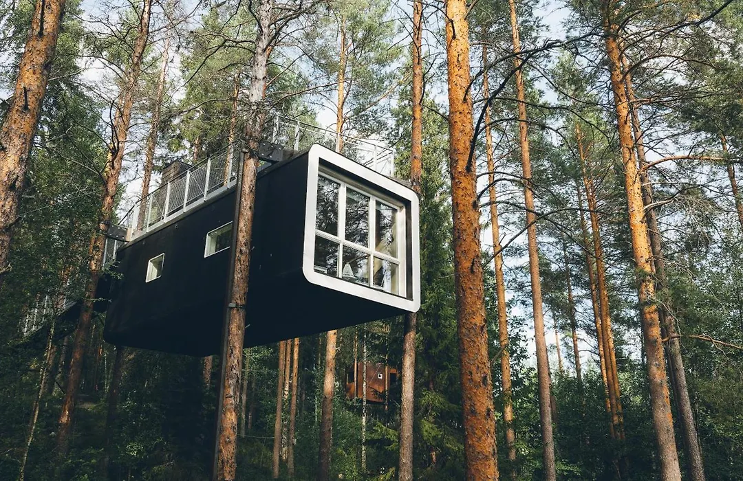 Treehotel-1