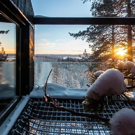 Treehotel-2